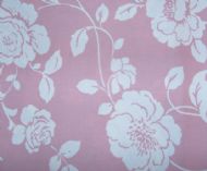 Meadow rose